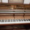 Piano " Alexander Herrmann" - Image 2
